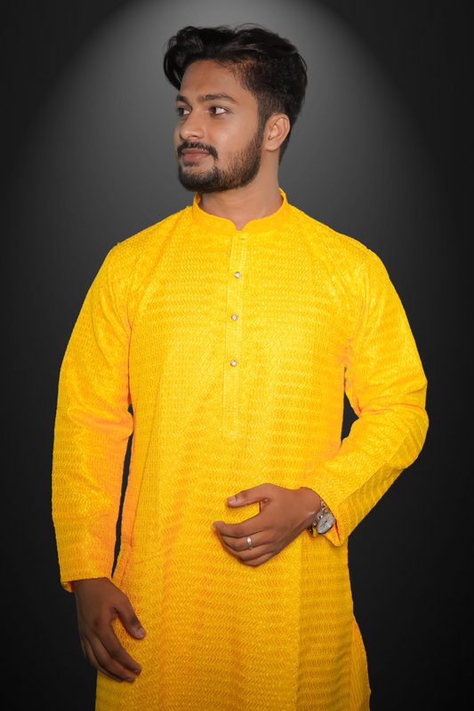 Men's Embroidery Chikan Sequence Kurta
