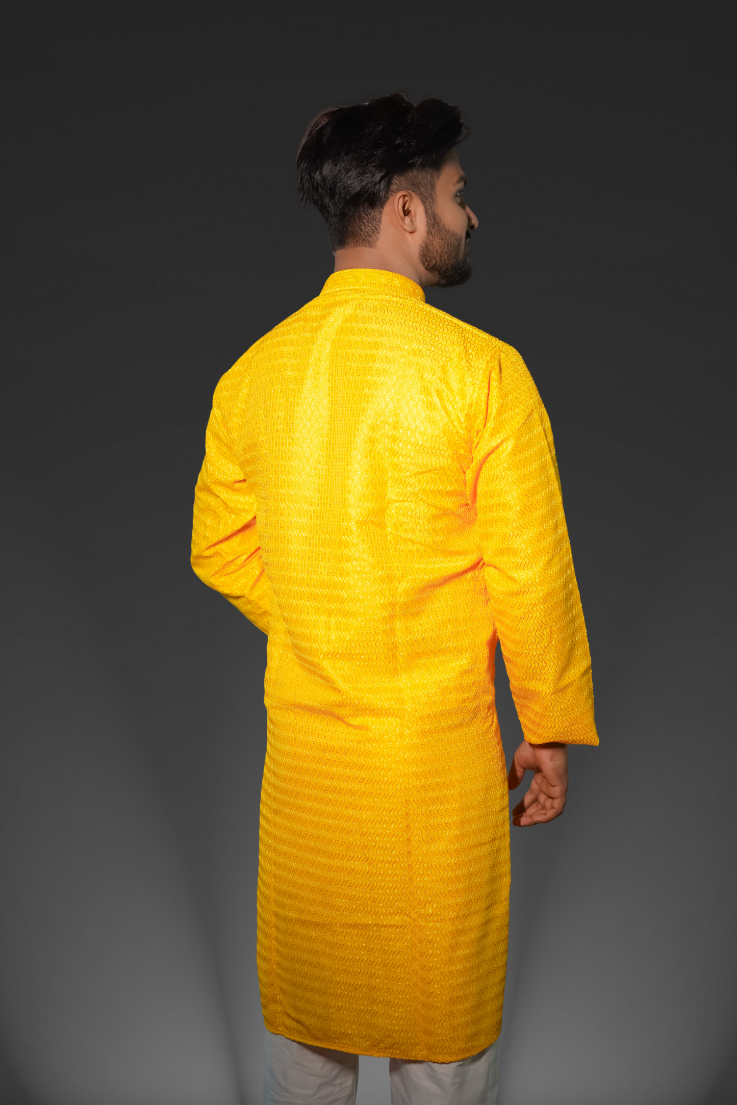 Men's Embroidery Chikan Sequence Kurta